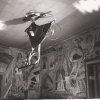 509. Feste 1954